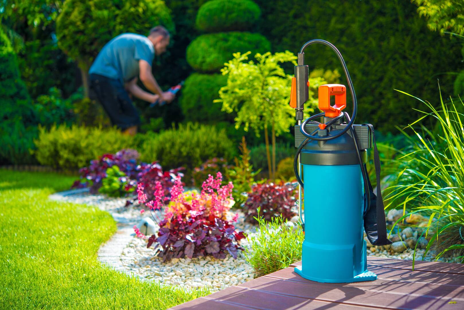 Read More About the Company’s Services