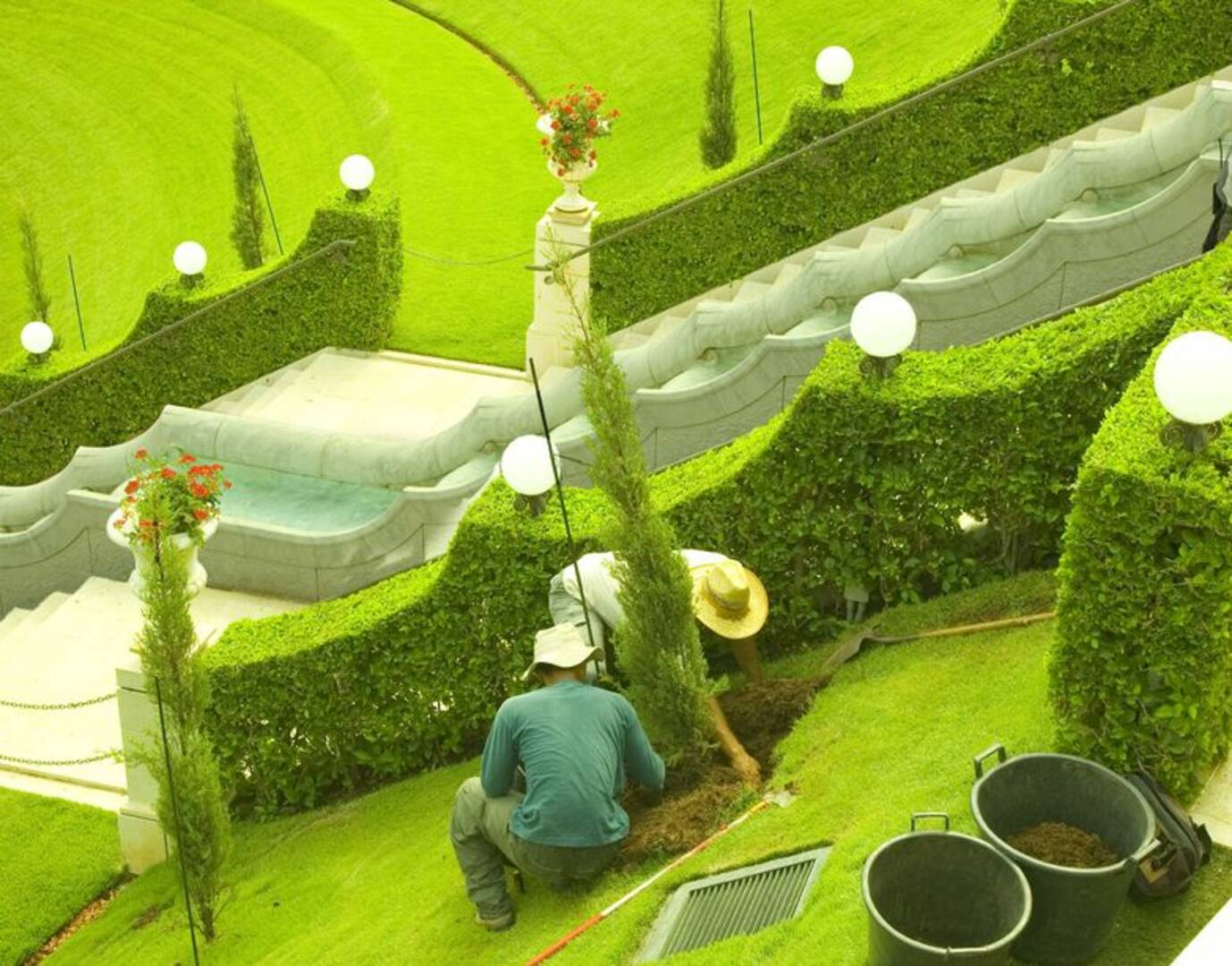 Choose Commercial Lawn Maintenance in Boca Raton FL Area